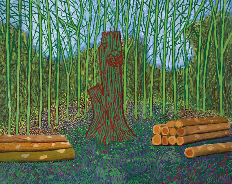 david-hockney-arranged-felled-trees-2008